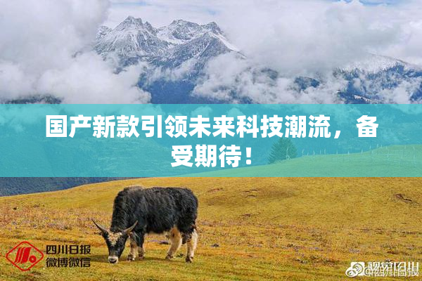 国产新款引领未来科技潮流，备受期待！