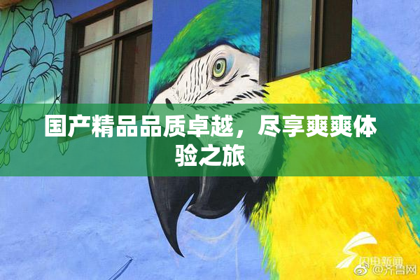 国产精品品质卓越，尽享爽爽体验之旅