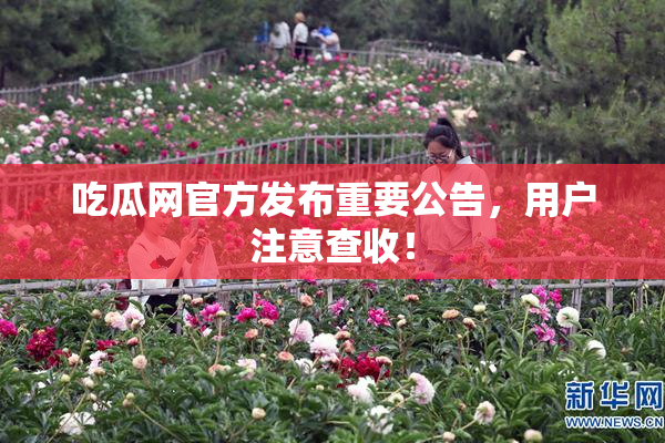 吃瓜网官方发布重要公告，用户注意查收！