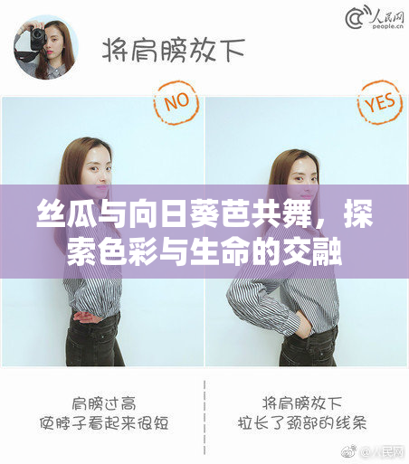 丝瓜与向日葵芭共舞，探索色彩与生命的交融