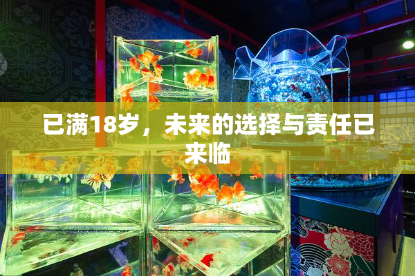 已满18岁，未来的选择与责任已来临