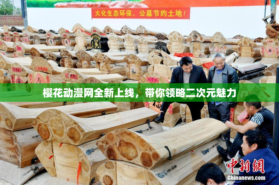 樱花动漫网全新上线，带你领略二次元魅力
