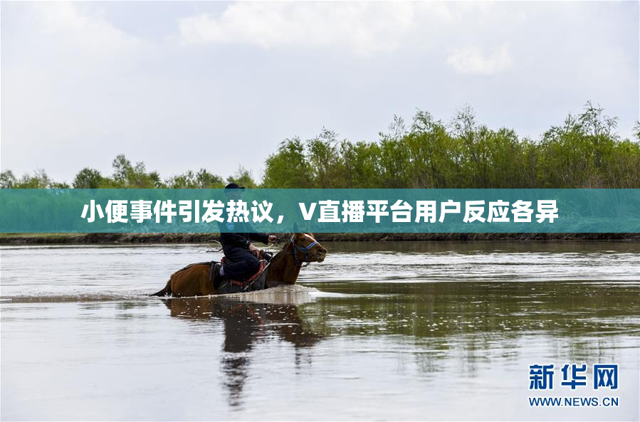 小便事件引发热议，V直播平台用户反应各异
