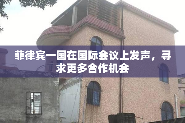 菲律宾一国在国际会议上发声，寻求更多合作机会