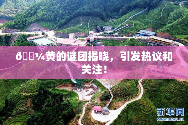 🌼黄的谜团揭晓，引发热议和关注！