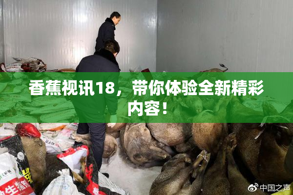 香蕉视讯18，带你体验全新精彩内容！