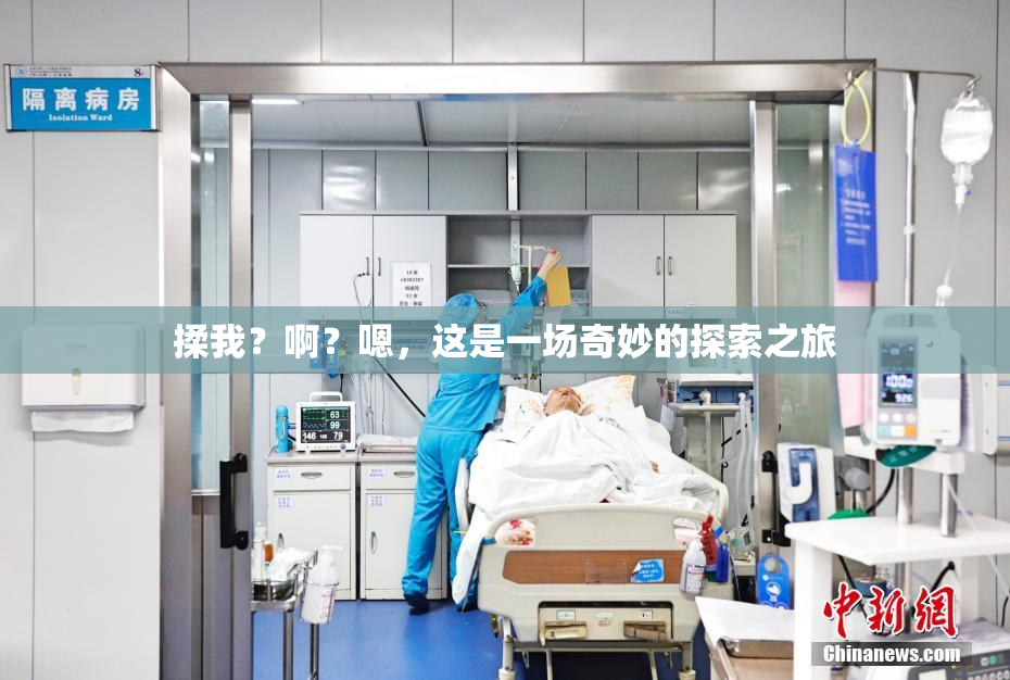 揉我？啊？嗯，这是一场奇妙的探索之旅