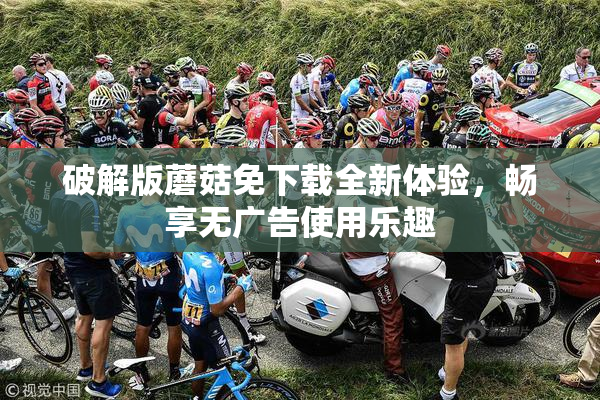 破解版蘑菇免下载全新体验，畅享无广告使用乐趣