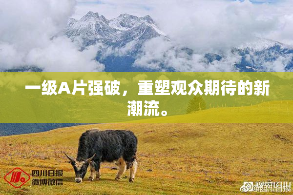 一级A片强破，重塑观众期待的新潮流。