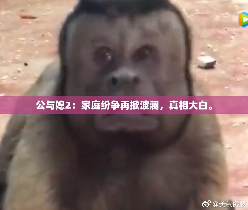 公与媳2：家庭纷争再掀波澜，真相大白。
