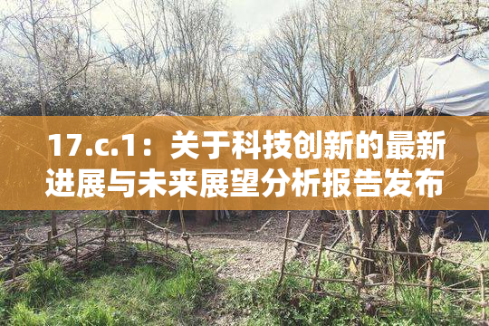 17.c.1：关于科技创新的最新进展与未来展望分析报告发布