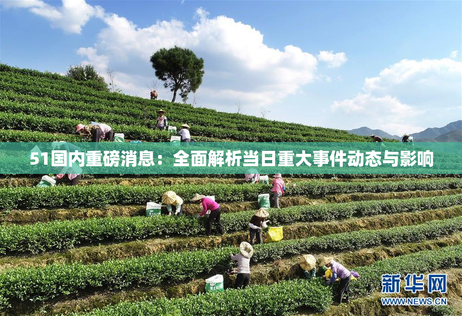 51国内重磅消息：全面解析当日重大事件动态与影响