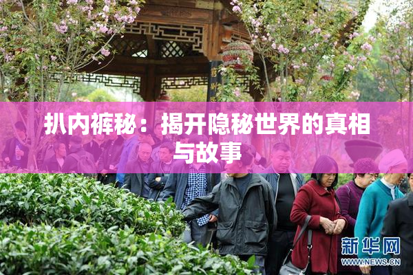 扒内裤秘：揭开隐秘世界的真相与故事