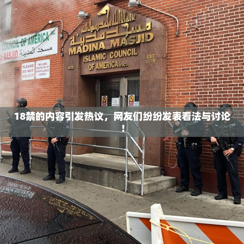 18禁的内容引发热议，网友们纷纷发表看法与讨论！