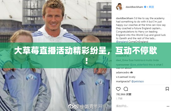 大草莓直播活动精彩纷呈，互动不停歇！