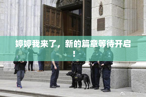 婷婷我来了，新的篇章等待开启！