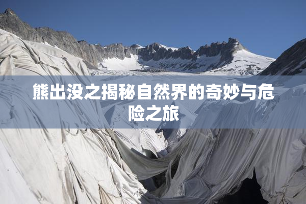熊出没之揭秘自然界的奇妙与危险之旅