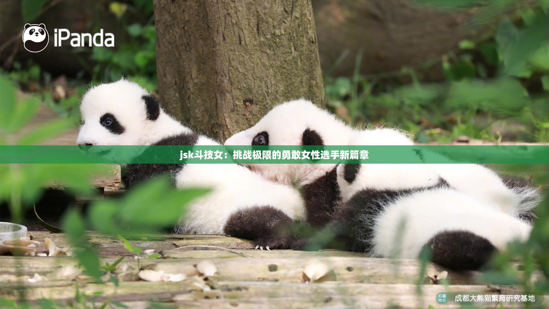 jsk斗技女：挑战极限的勇敢女性选手新篇章