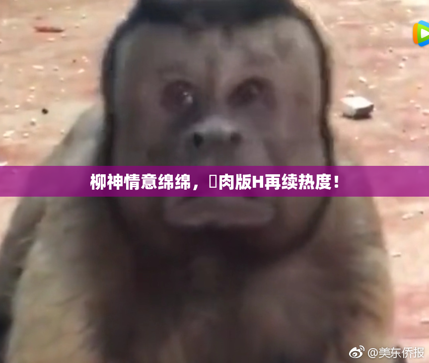 柳神情意绵绵，婬肉版H再续热度！