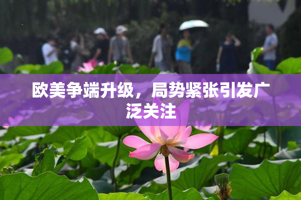 欧美争端升级，局势紧张引发广泛关注