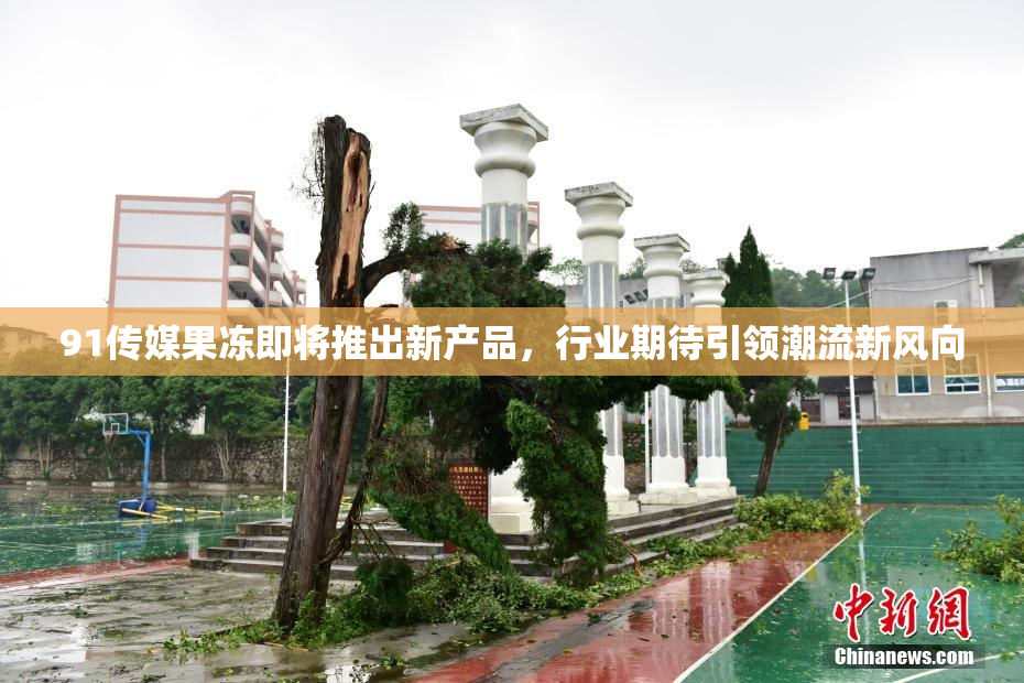 91传媒果冻即将推出新产品，行业期待引领潮流新风向