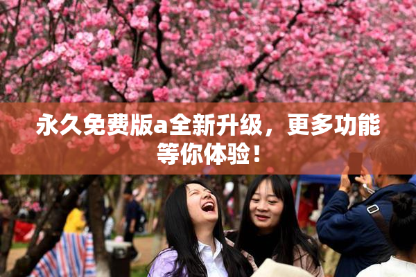 永久免费版a全新升级，更多功能等你体验！