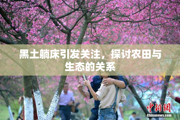 黑土躺床引发关注，探讨农田与生态的关系