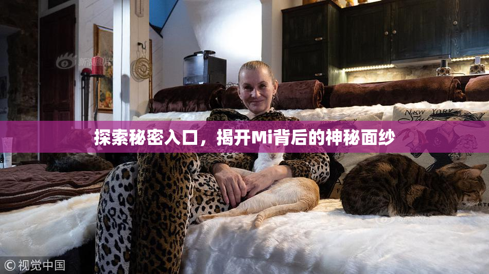 探索秘密入口，揭开Mi背后的神秘面纱