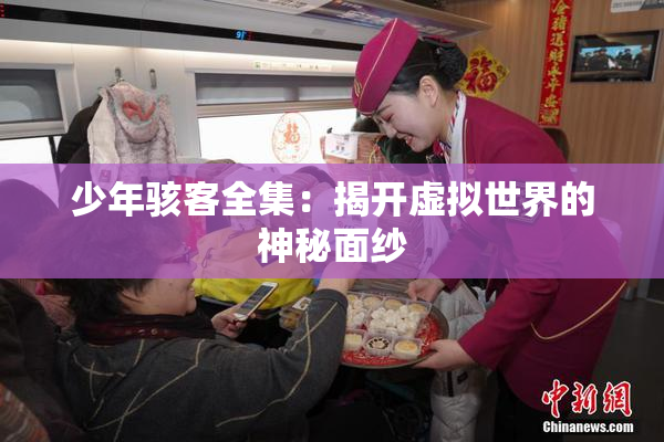 少年骇客全集：揭开虚拟世界的神秘面纱