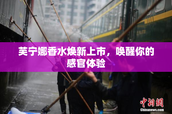 芙宁娜香水焕新上市，唤醒你的感官体验