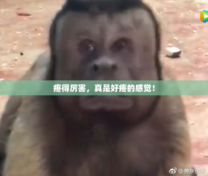 疼得厉害，真是好疼的感觉！