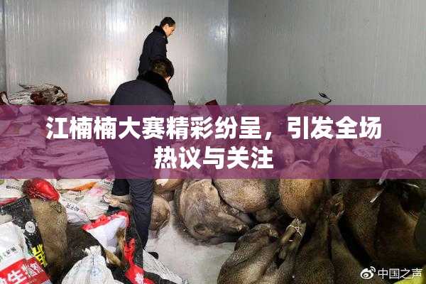 江楠楠大赛精彩纷呈，引发全场热议与关注