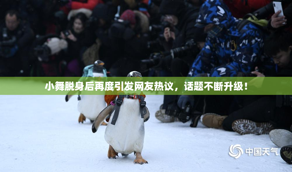 小舞脱身后再度引发网友热议，话题不断升级！