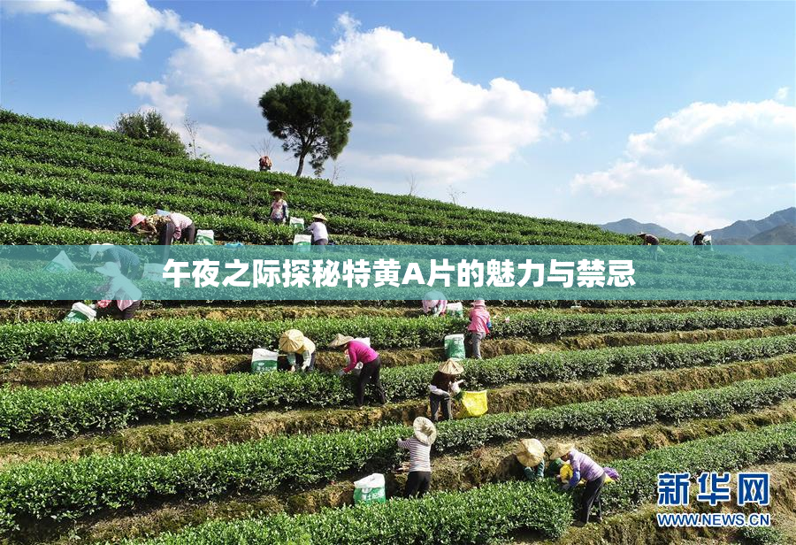 午夜之际探秘特黄A片的魅力与禁忌