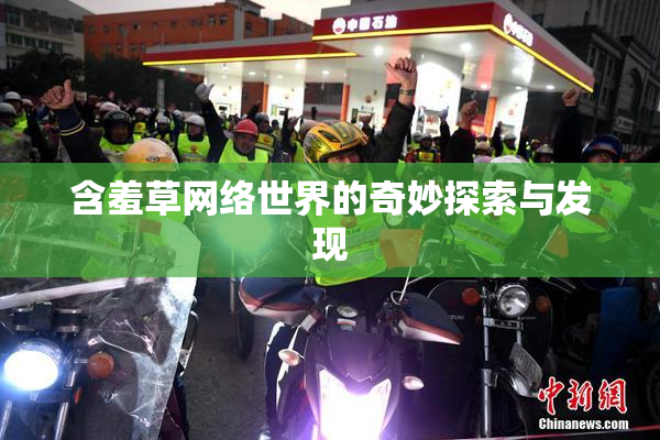 含羞草网络世界的奇妙探索与发现