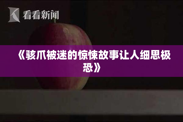 《骇爪被迷的惊悚故事让人细思极恐》