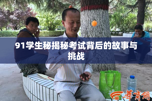 91学生秘揭秘考试背后的故事与挑战