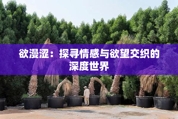 欲漫涩：探寻情感与欲望交织的深度世界