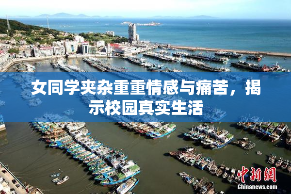女同学夹杂重重情感与痛苦，揭示校园真实生活