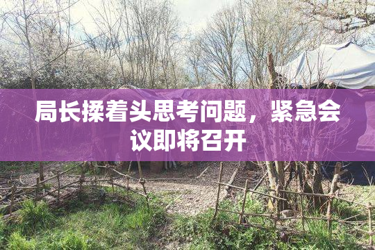 局长揉着头思考问题，紧急会议即将召开