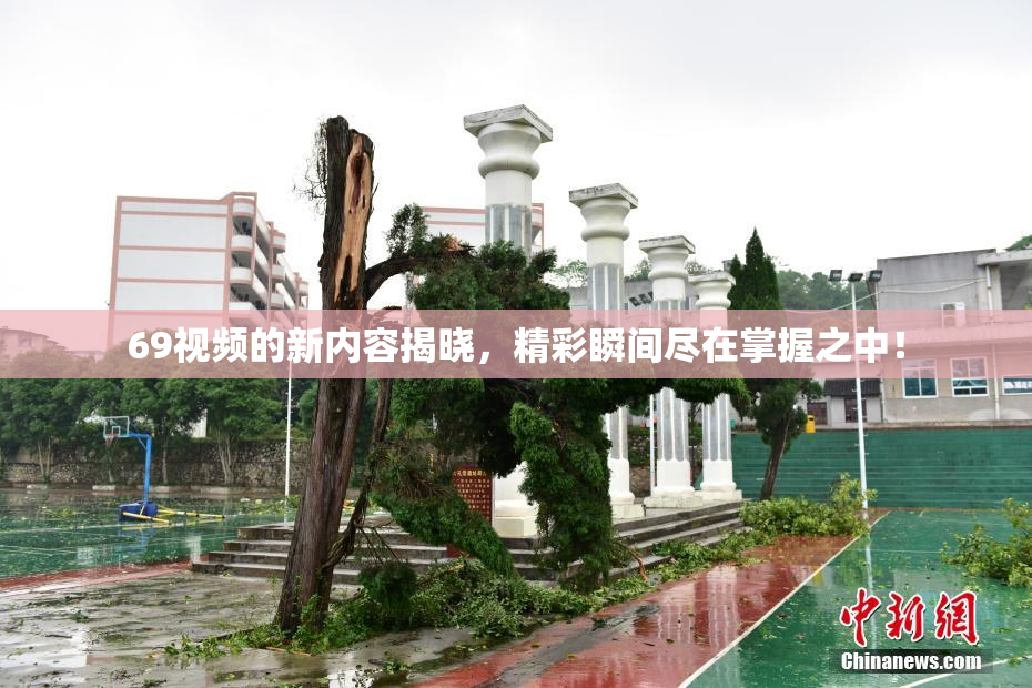 69视频的新内容揭晓，精彩瞬间尽在掌握之中！