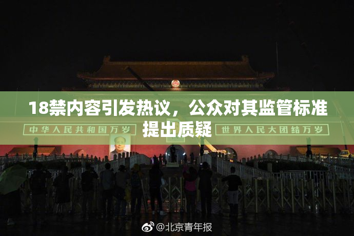 18禁内容引发热议，公众对其监管标准提出质疑