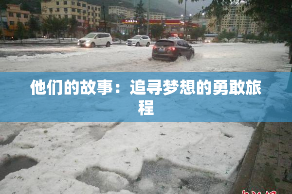他们的故事：追寻梦想的勇敢旅程