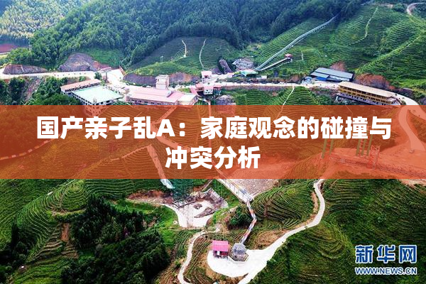 国产亲子乱A：家庭观念的碰撞与冲突分析