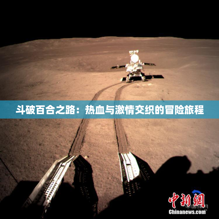 斗破百合之路：热血与激情交织的冒险旅程