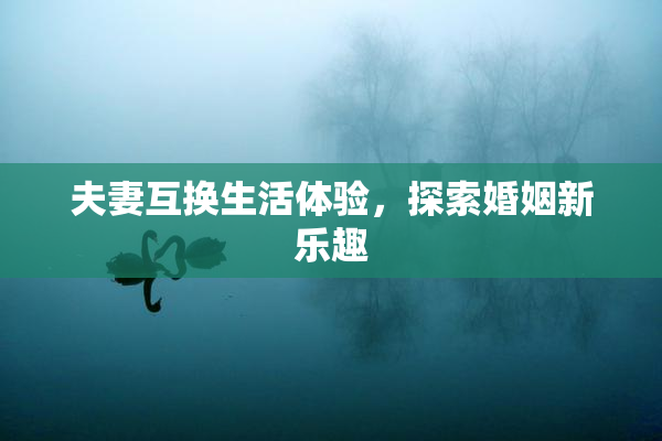 夫妻互换生活体验，探索婚姻新乐趣