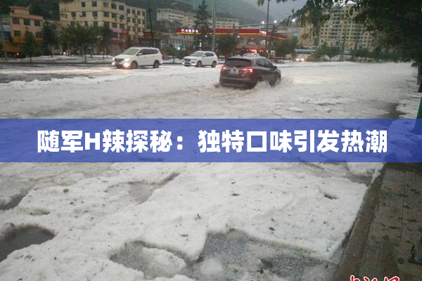 随军H辣探秘：独特口味引发热潮