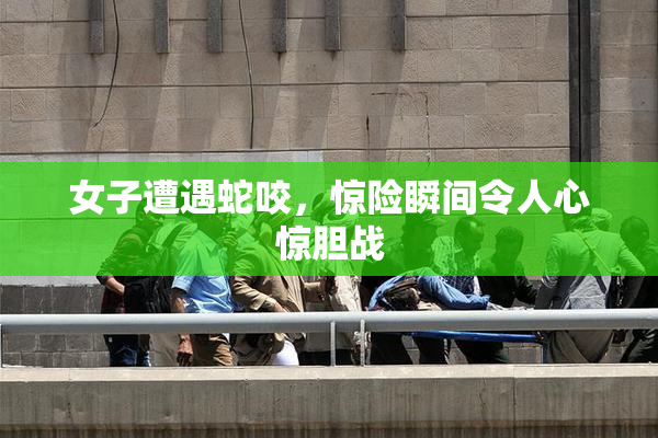 女子遭遇蛇咬，惊险瞬间令人心惊胆战