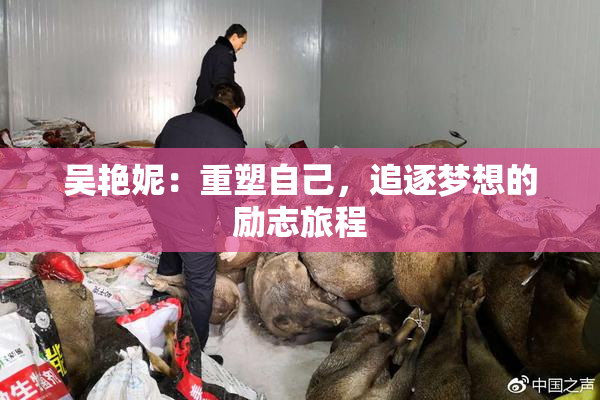 吴艳妮：重塑自己，追逐梦想的励志旅程
