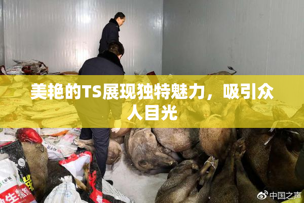 美艳的TS展现独特魅力，吸引众人目光